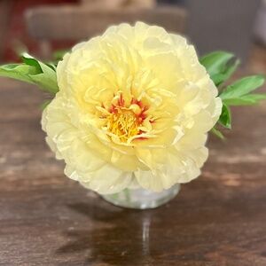 Meet your Posher, Erin